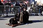 Domenica mattina2011-7643